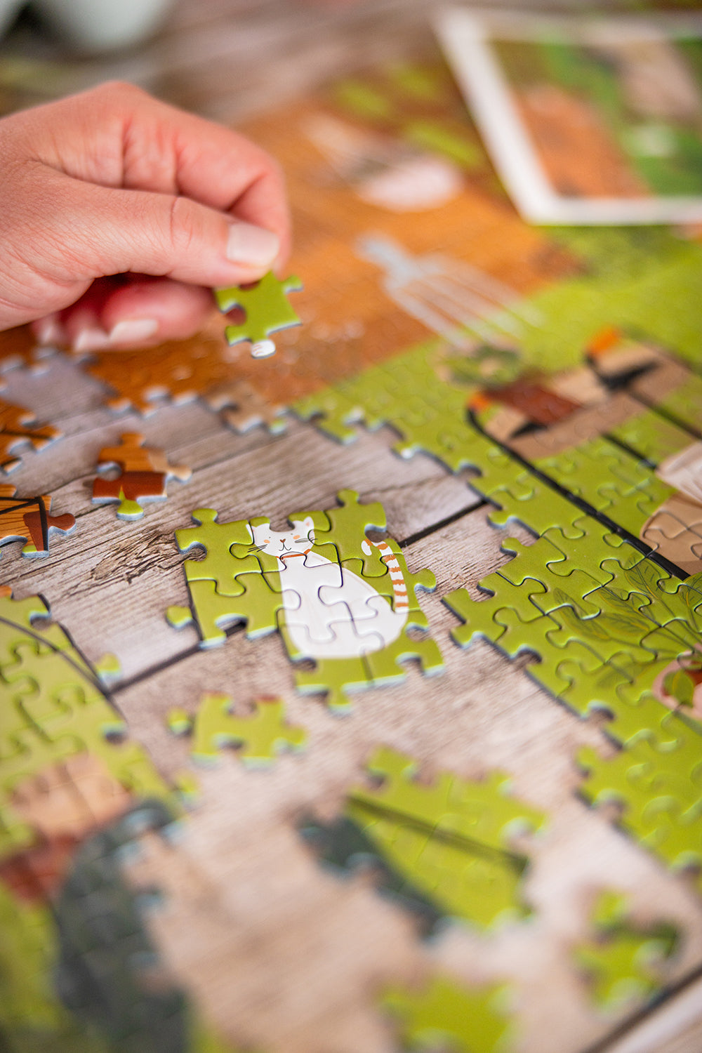 Puzzle 1000 pièces Jardin Secret
