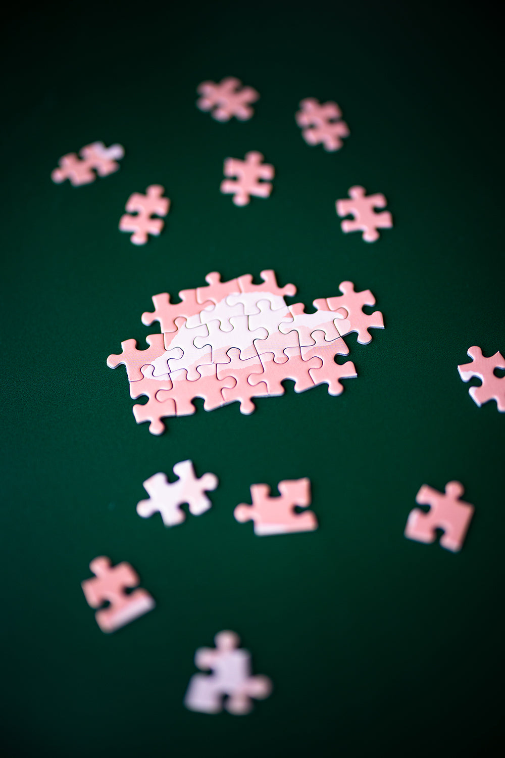 Puzzle 500 pièces Love is in the air