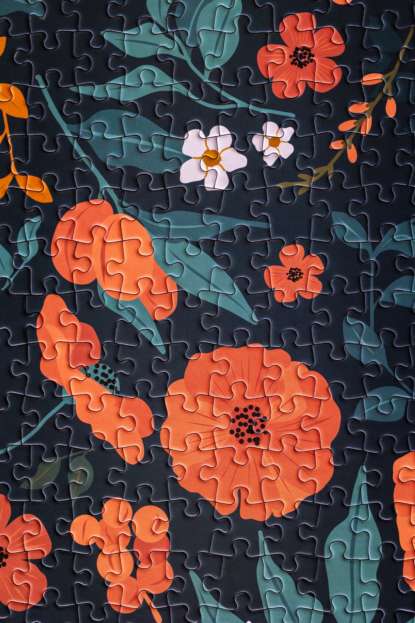 Puzzle 1000 pièces Jardin Botanique