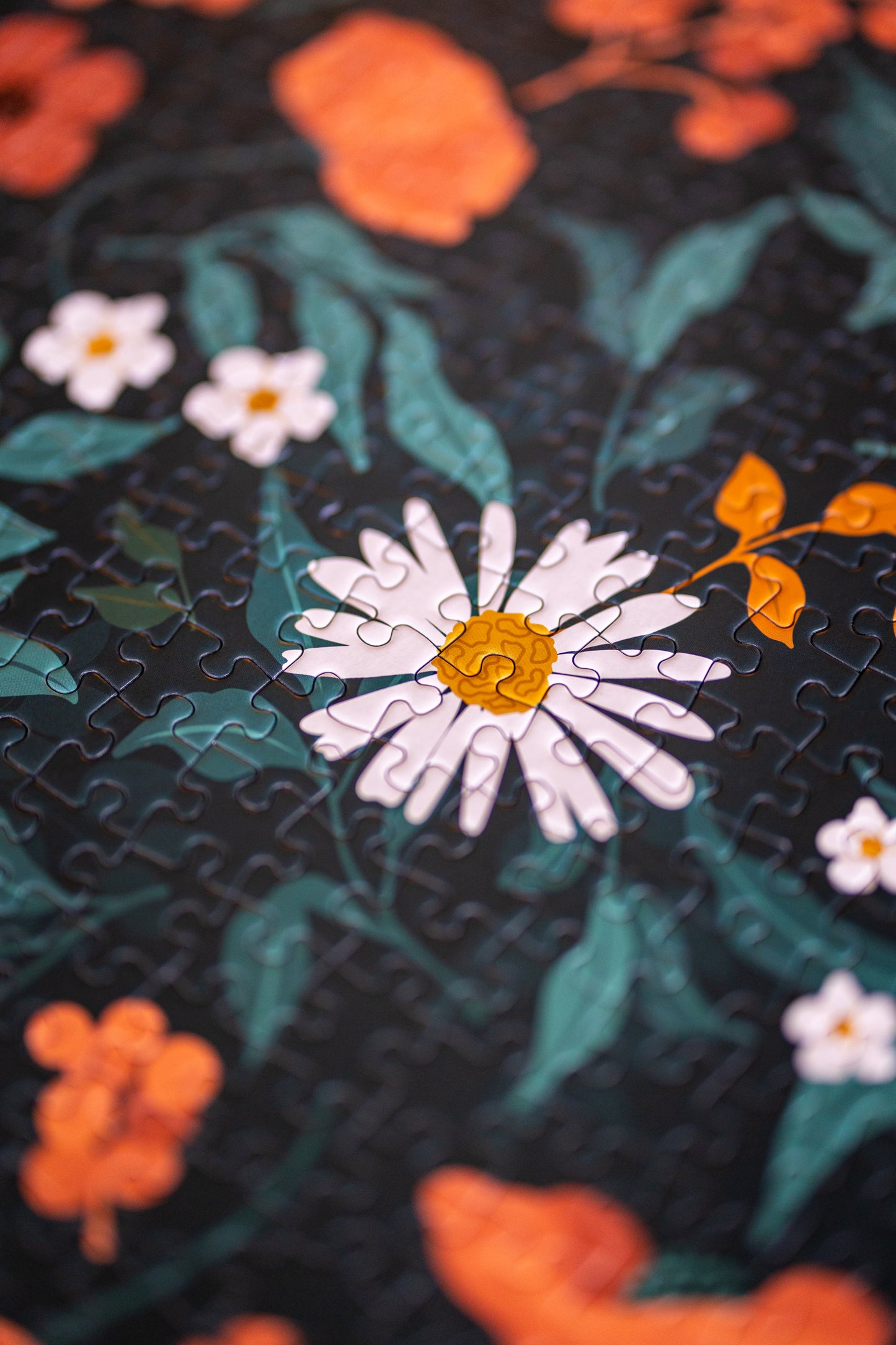 Puzzle 1000 pièces Jardin Botanique