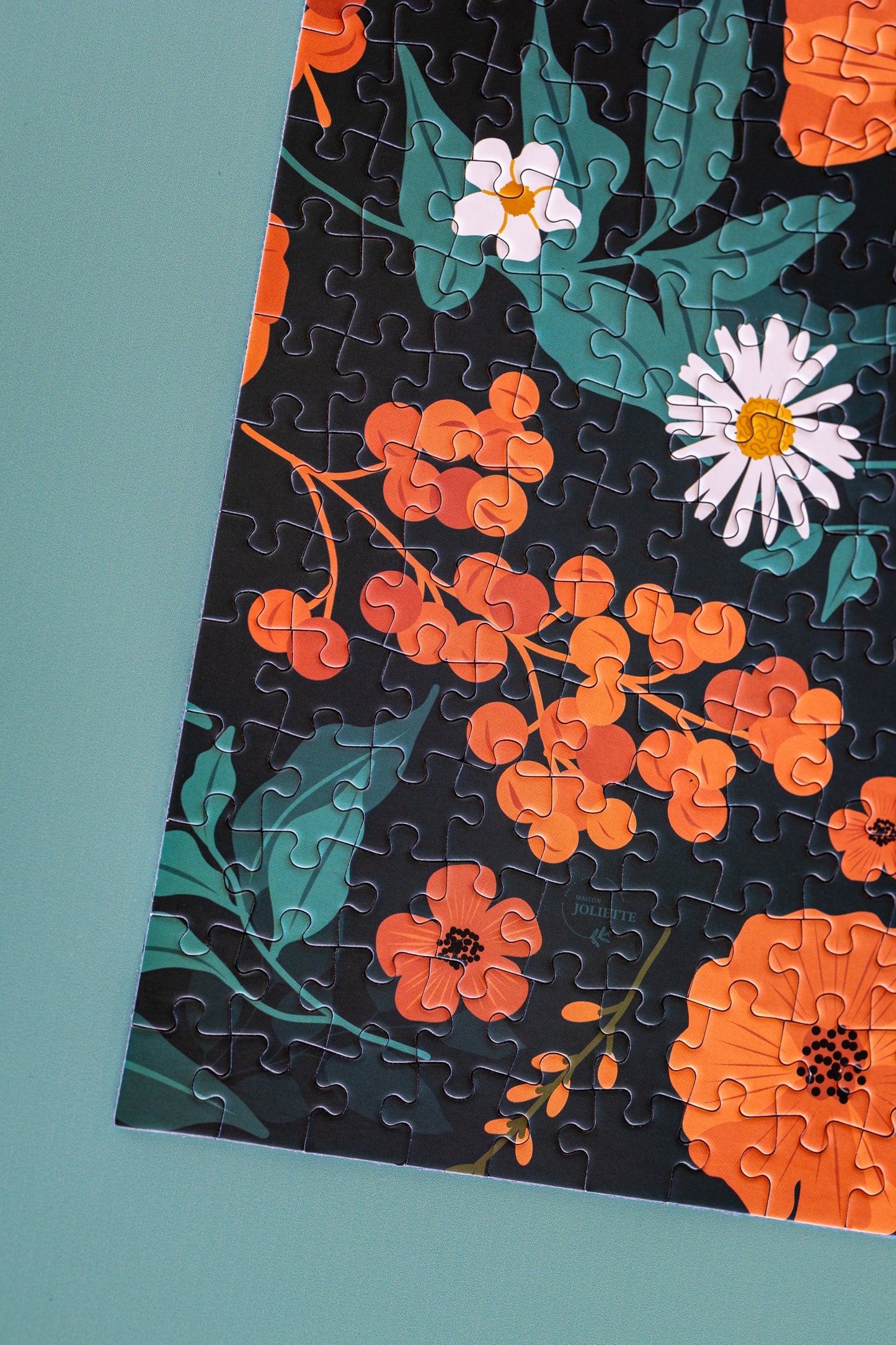 Puzzle 1000 pièces Jardin Botanique