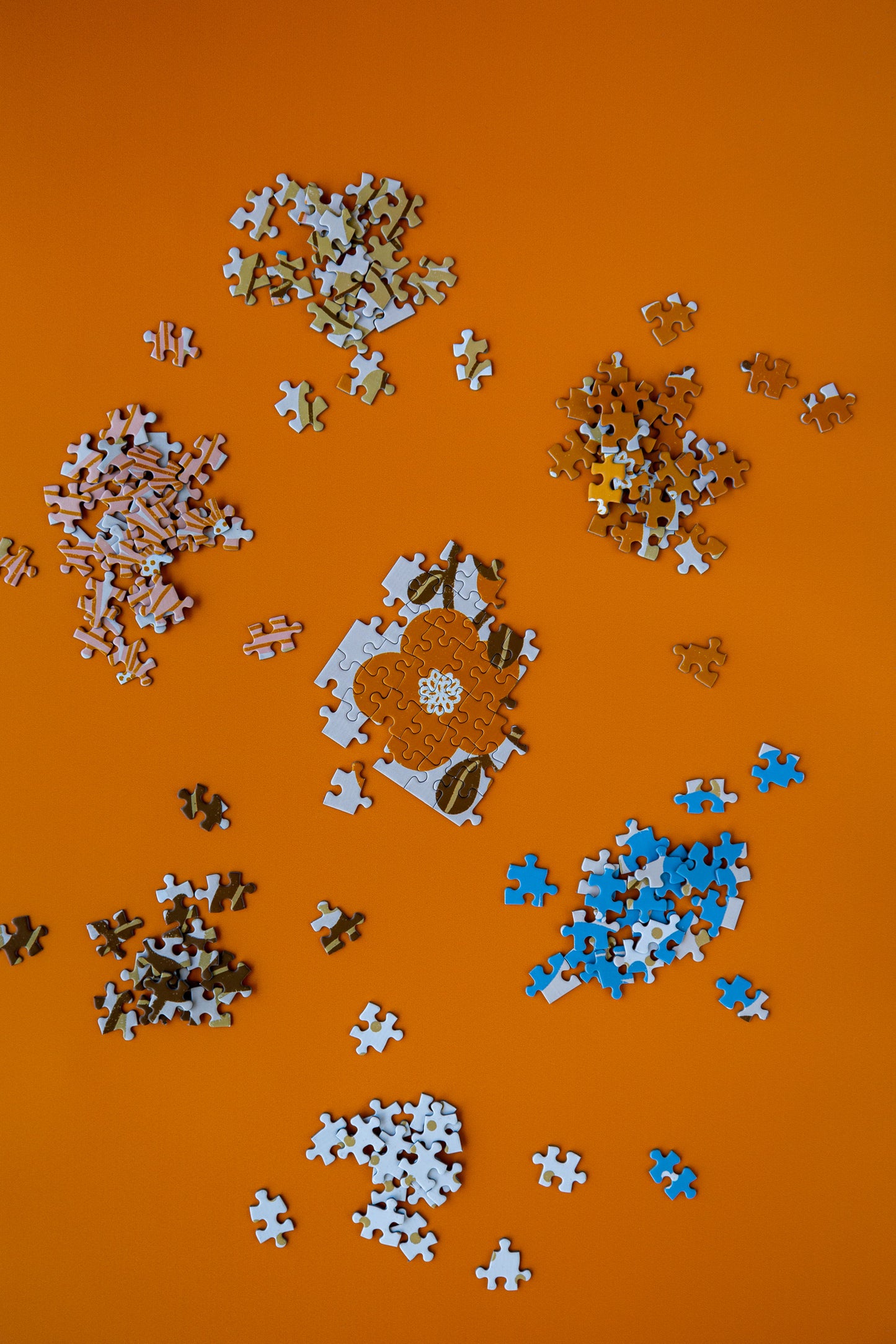 Puzzle 500 pieces Myosotis & Nasturtium