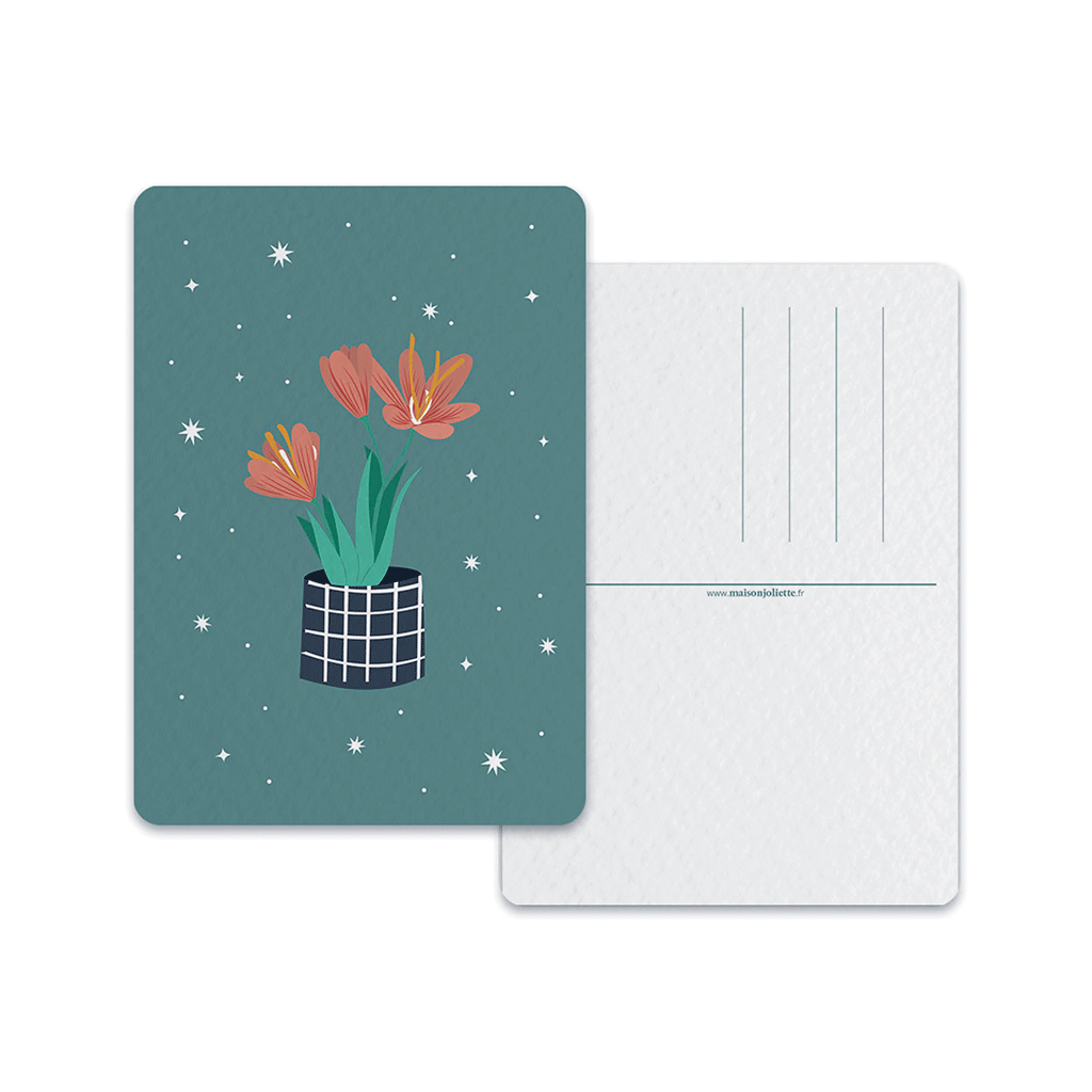 Fleur de Safran - Carte postale