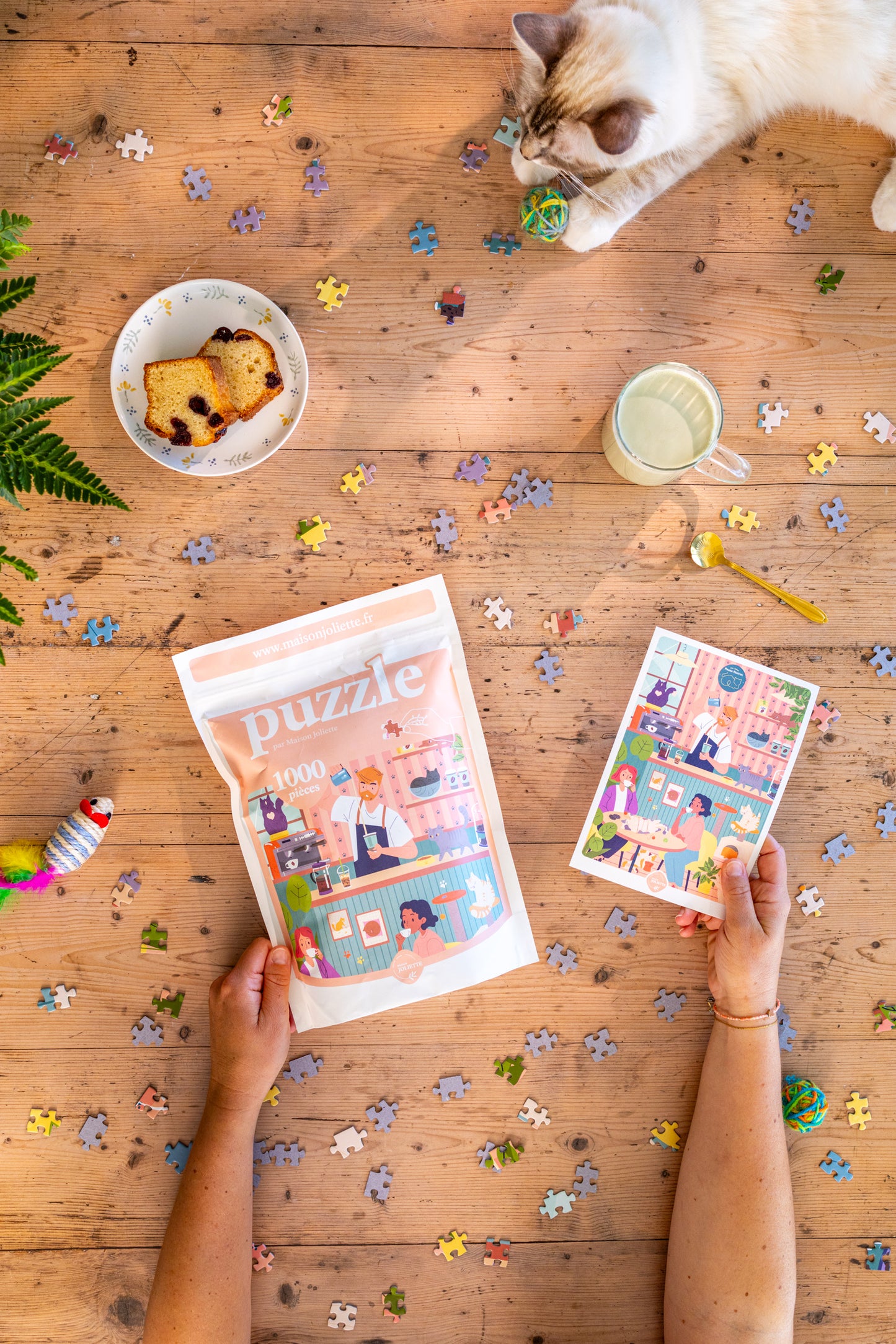 Puzzle 1000 pièces Pause Ronron
