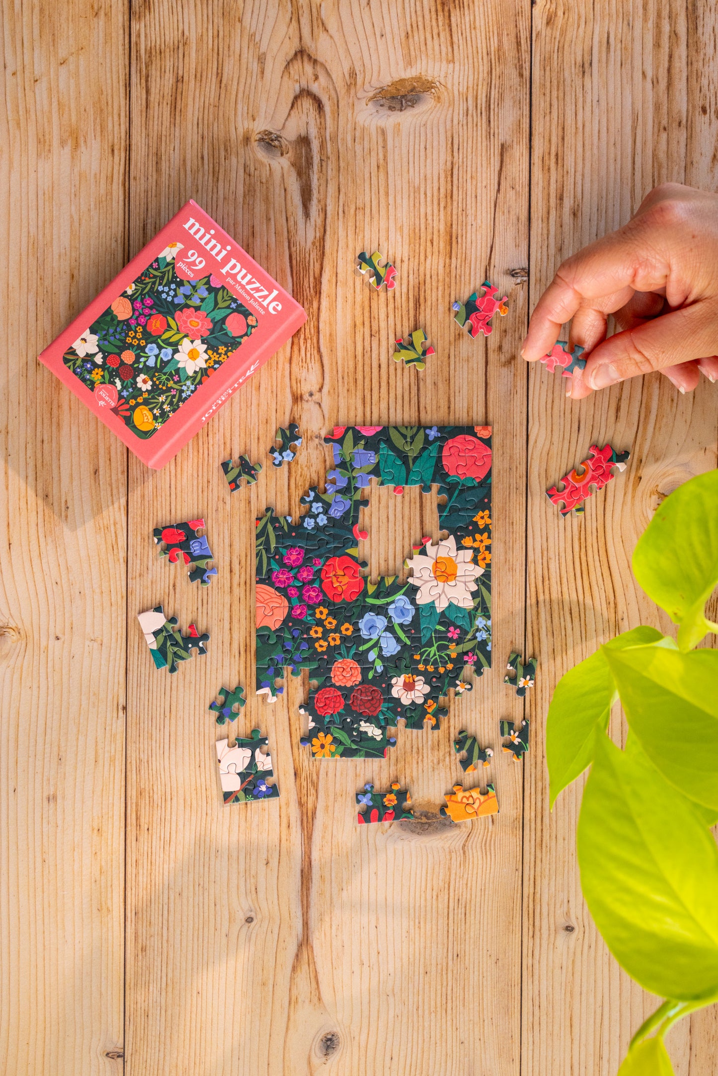 Mini Puzzle 99 pièces - Poésie Sauvage