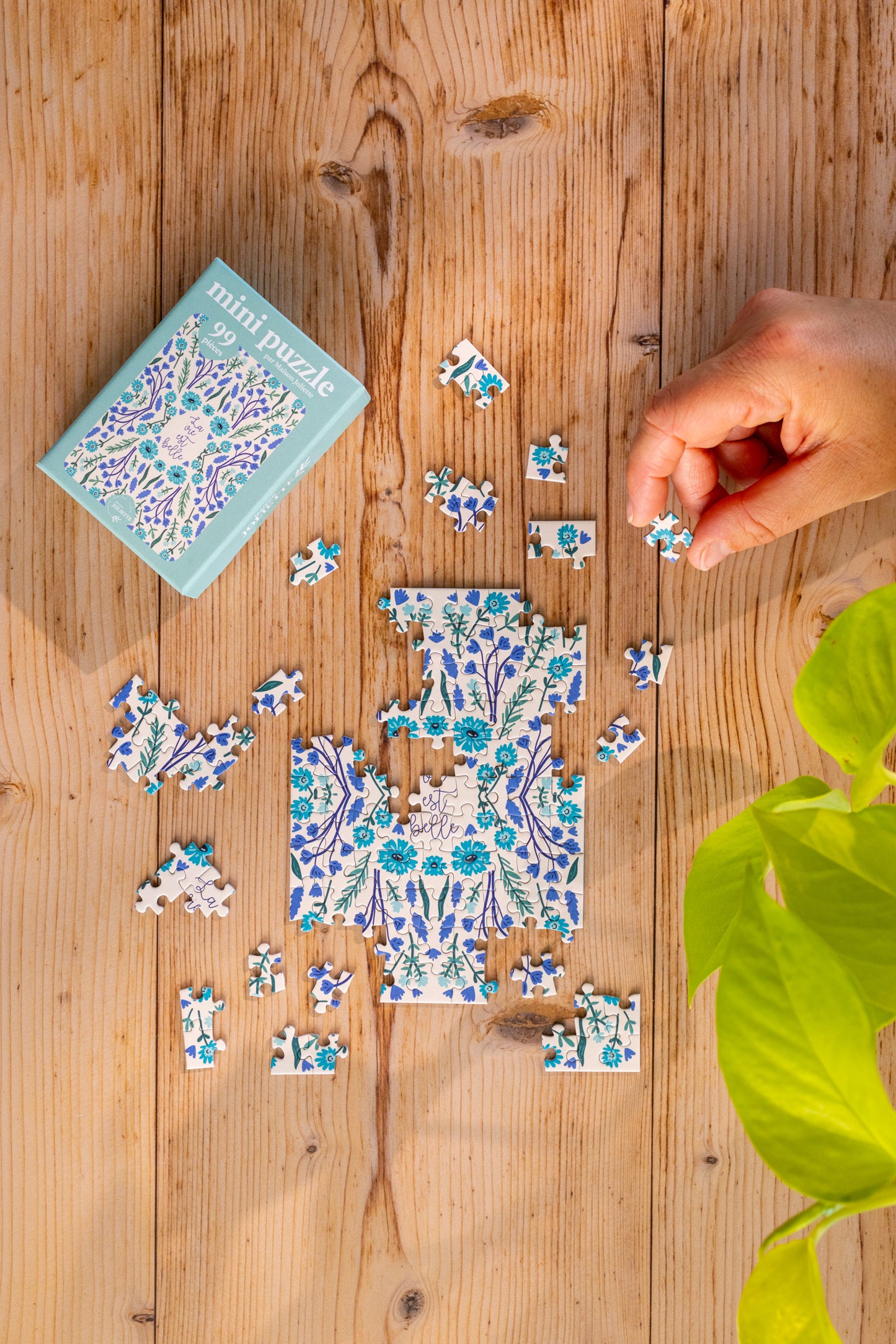 Mini Puzzle 99 pièces - La vie est belle
