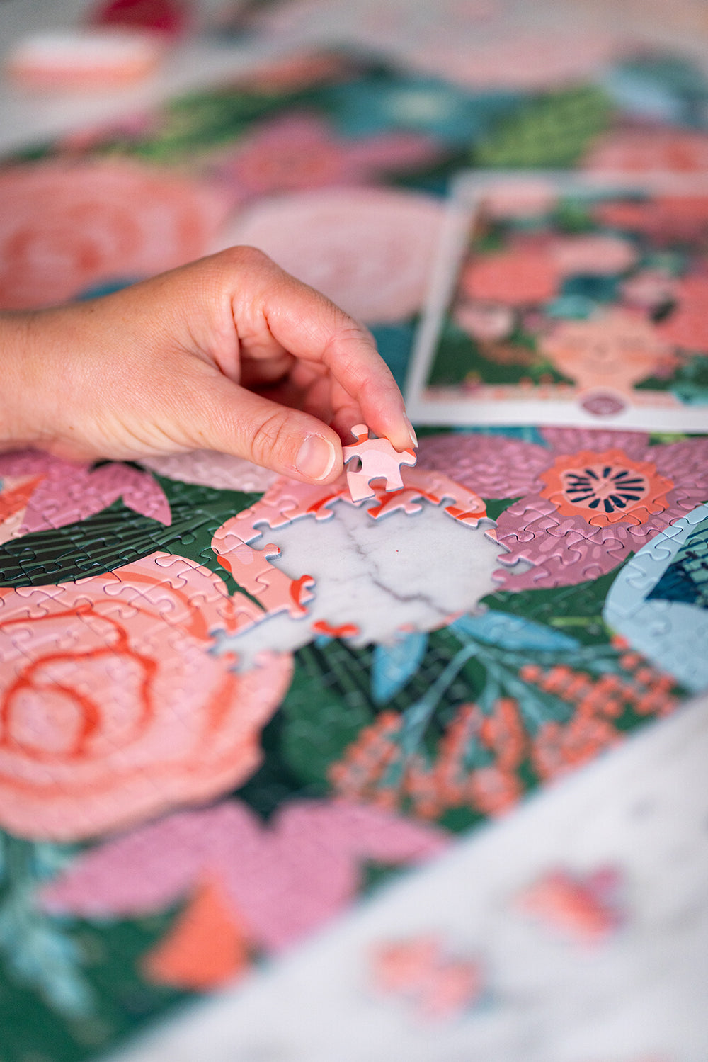 Puzzle 1000 pièces Rêveries