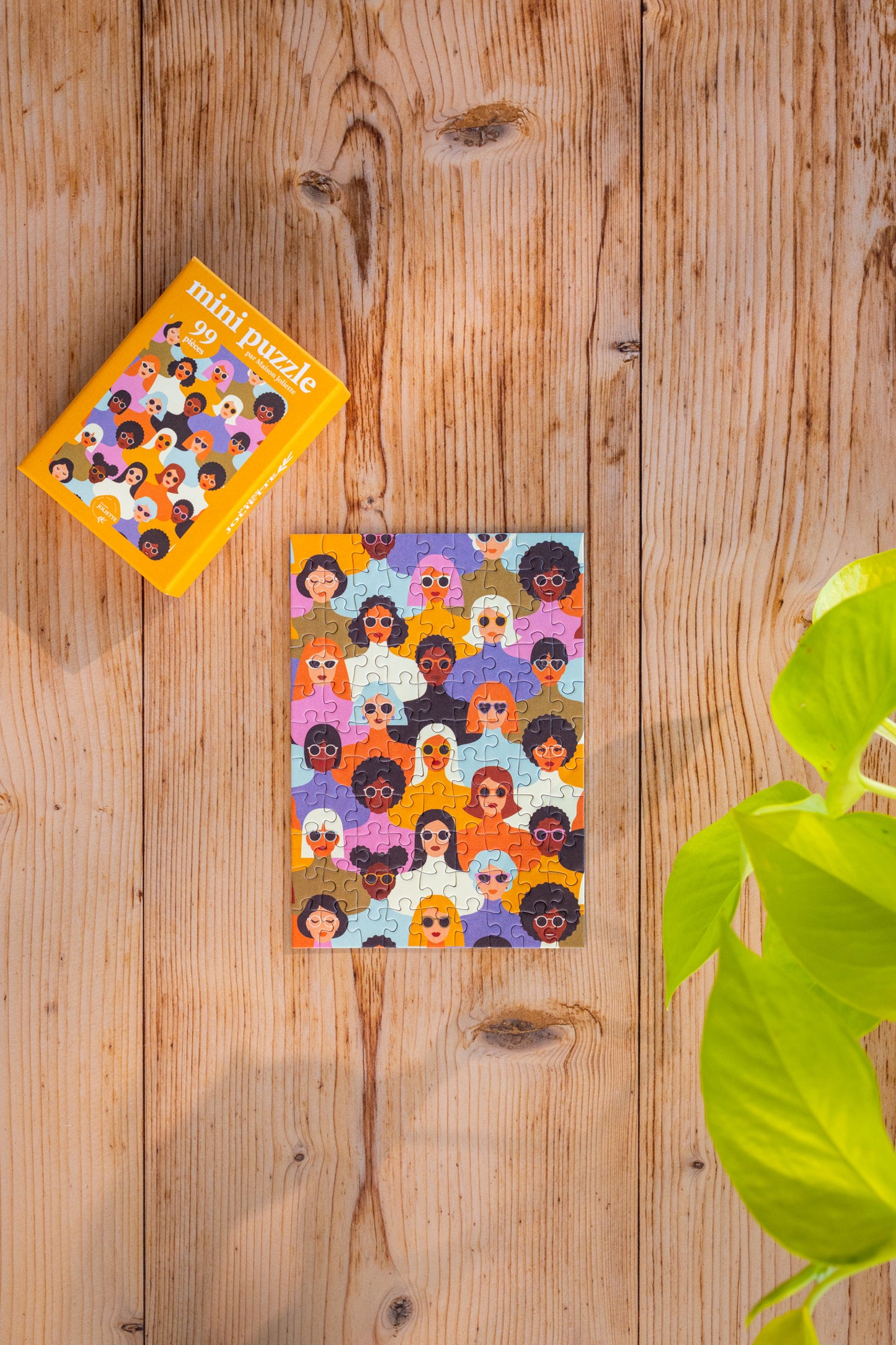 Mini Puzzle 99 pièces - Multitude