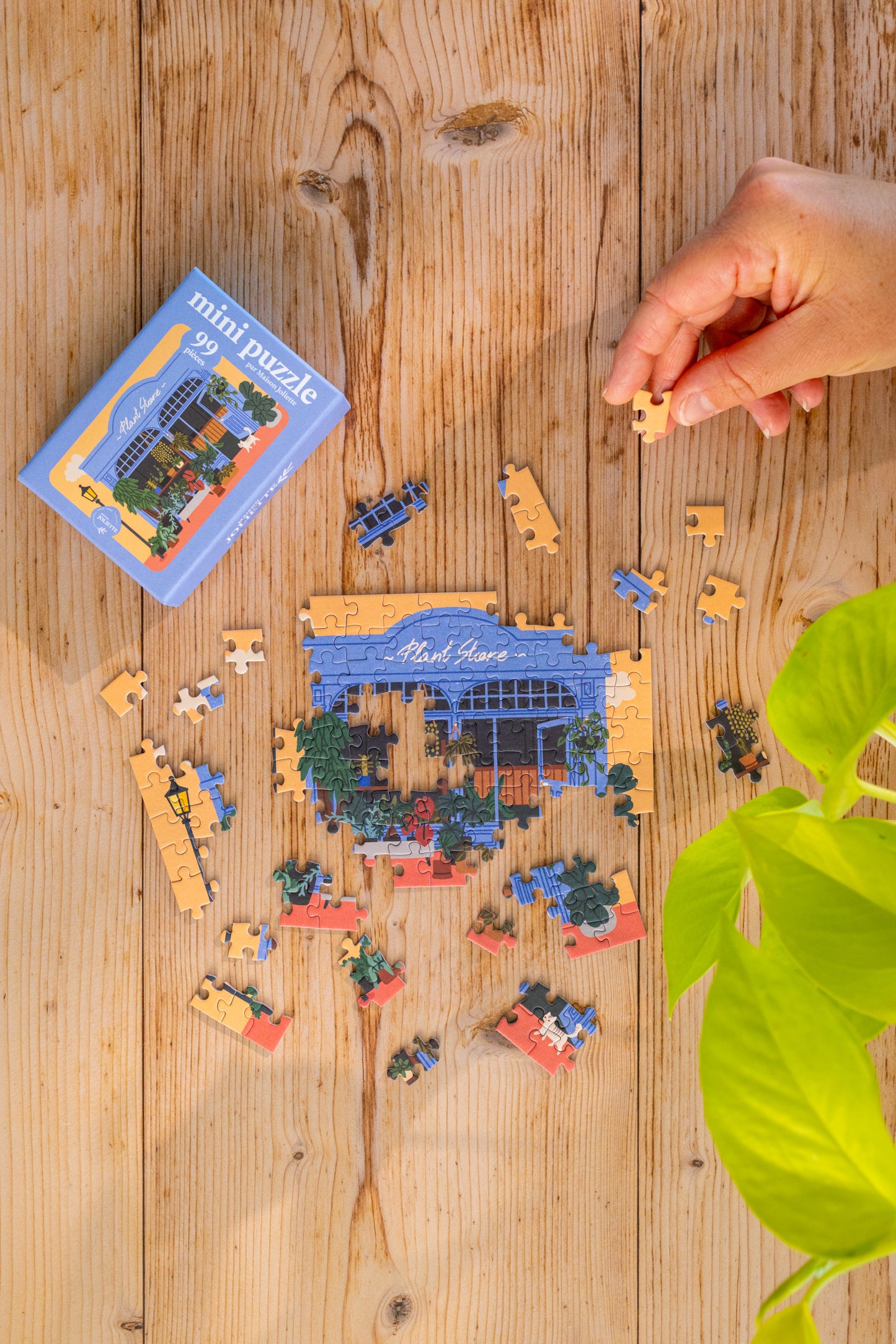 Mini Puzzle 99 pièces - Plant Store