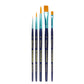 Set de 5 pinceaux et brosses plates